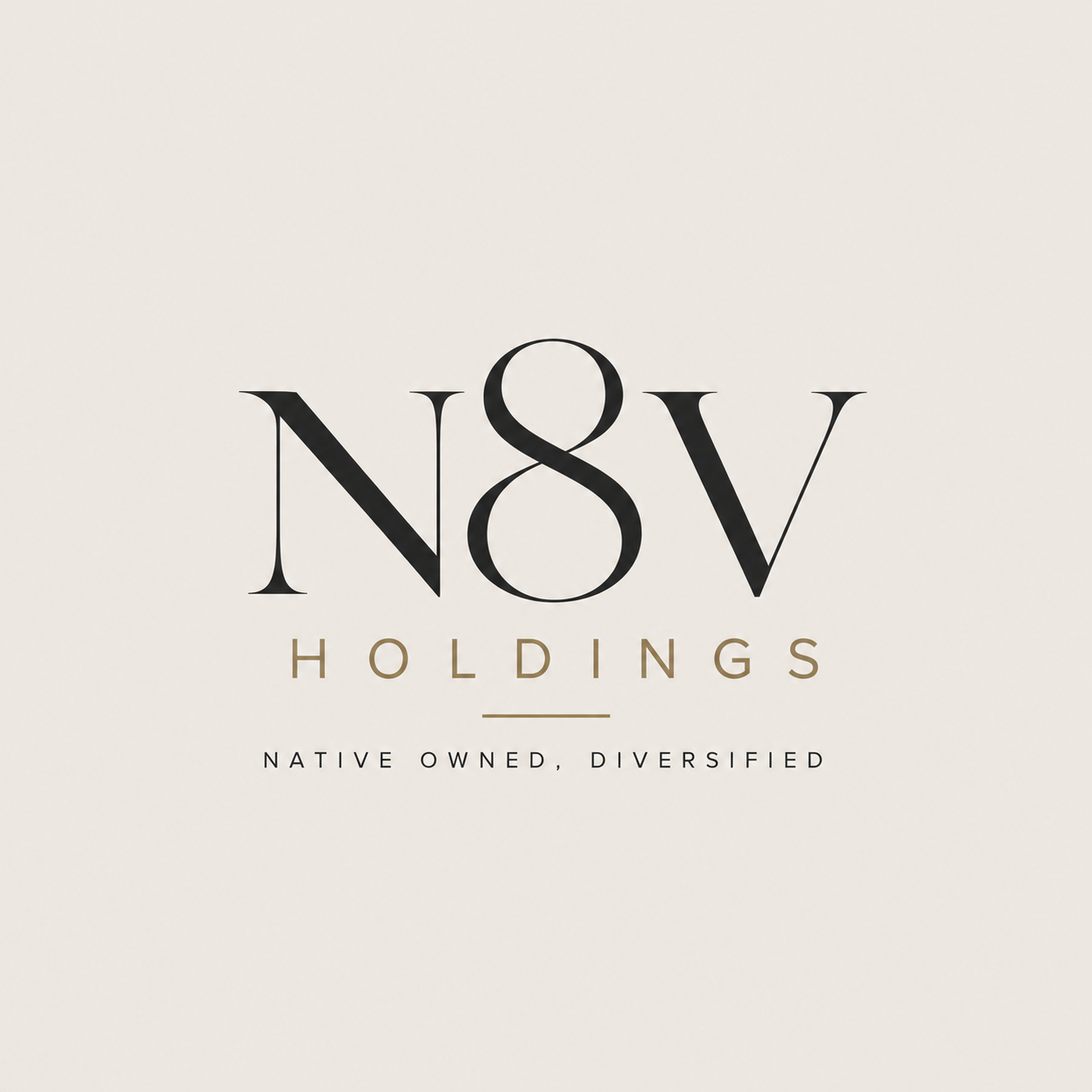 N8V Holdings — Native Owned, Diversified